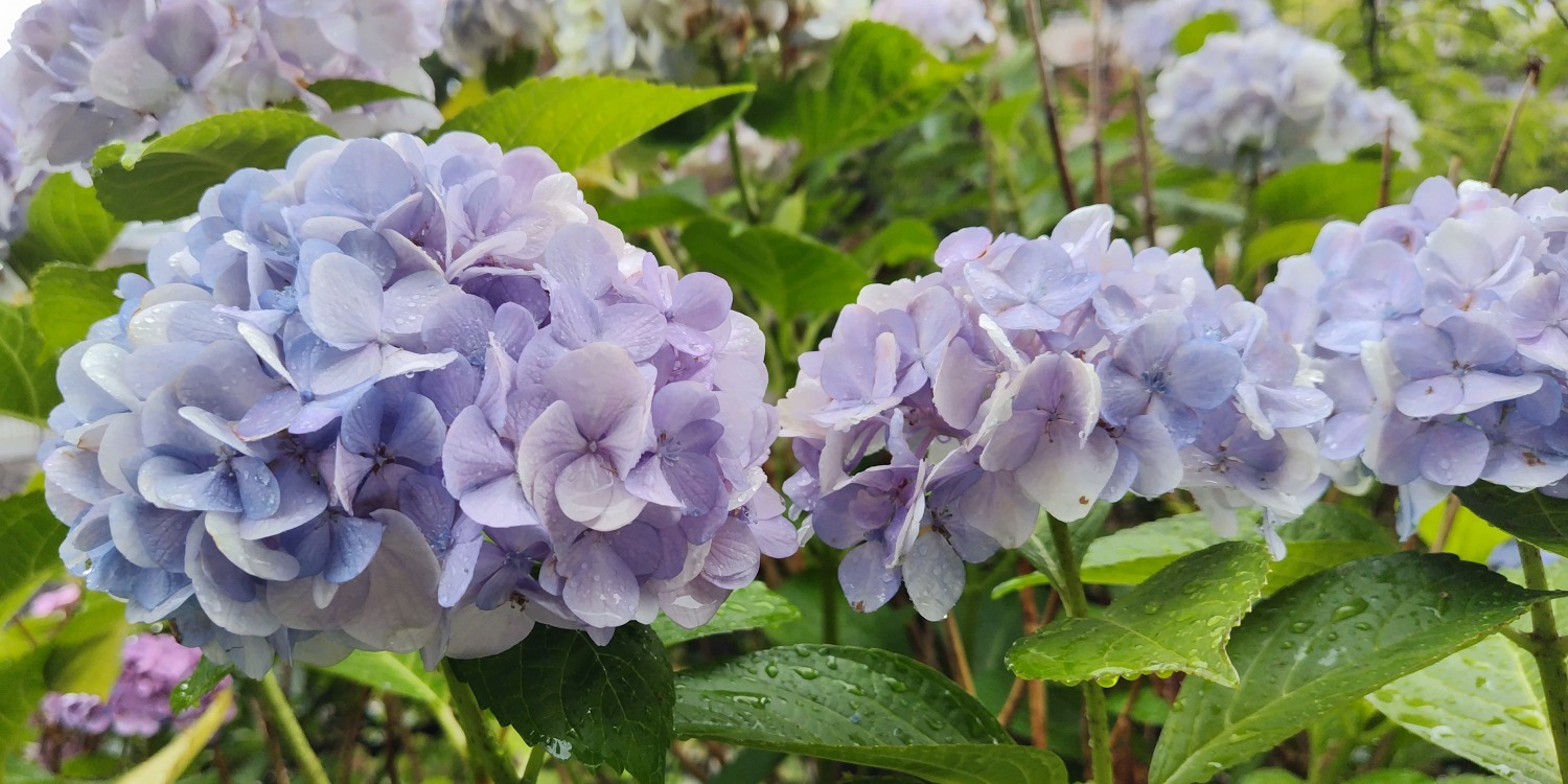 雨の日に何ができる？おすすめの楽しみ方＆観光スポット