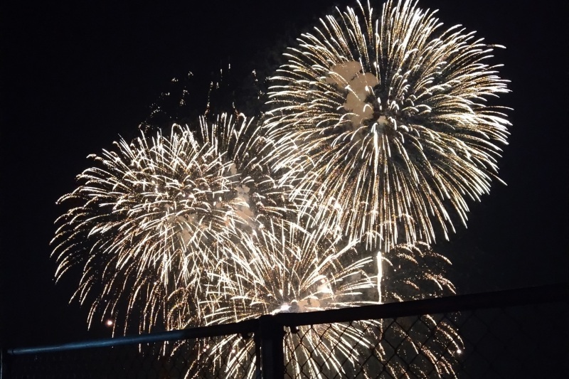 【2024】夏はやっぱり花火！鳥取市＆周辺で開催される花火大会情報★
