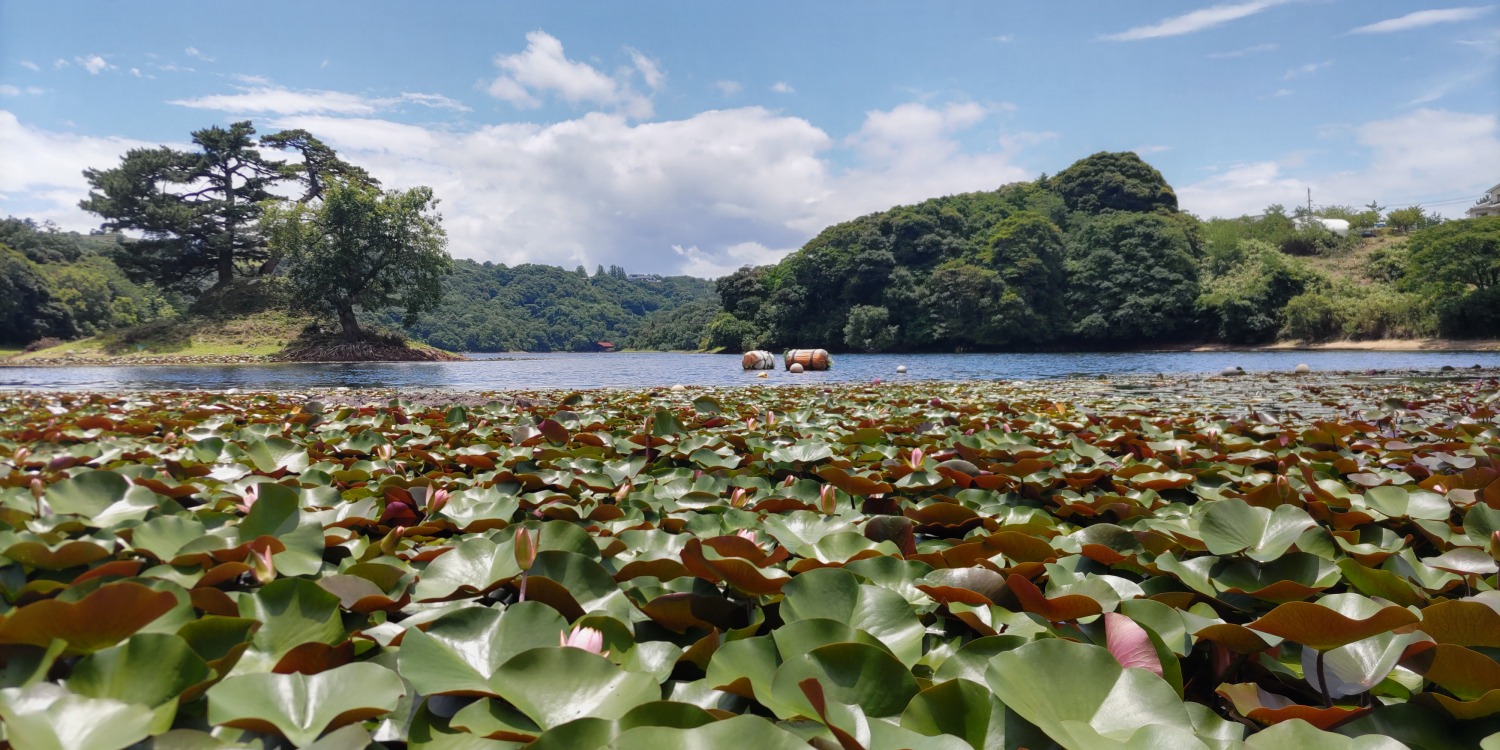 【2025】巳年 1年中楽しめる多鯰ヶ池