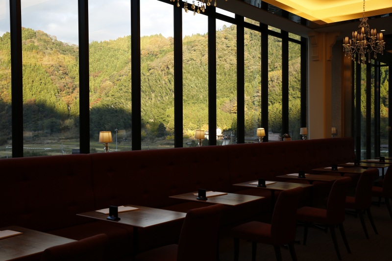 【2025】鳥取市からすぐ 八頭町癒され山カフェ特集