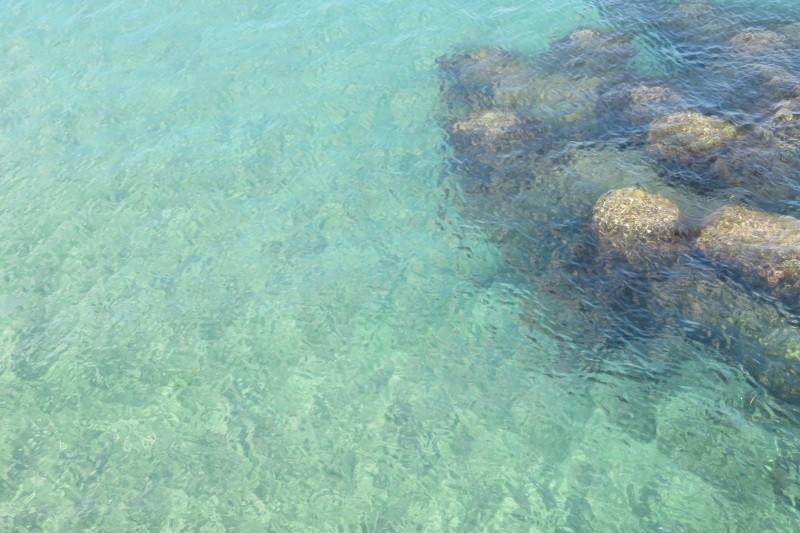 賀露みなと海水浴場　透き通った海