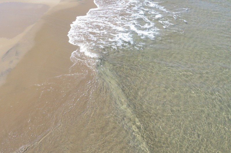 賀露みなと海水浴場　透き通った海