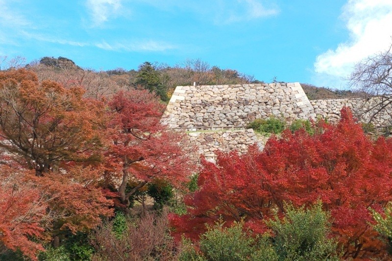 鳥取の秋の夕日に照る山紅葉 特集 鳥取市観光サイト 公式 鳥取市のおすすめ観光 旅行情報