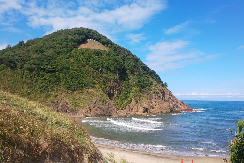 大崎城遠景