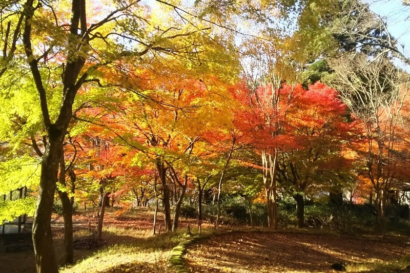 御殿山公園