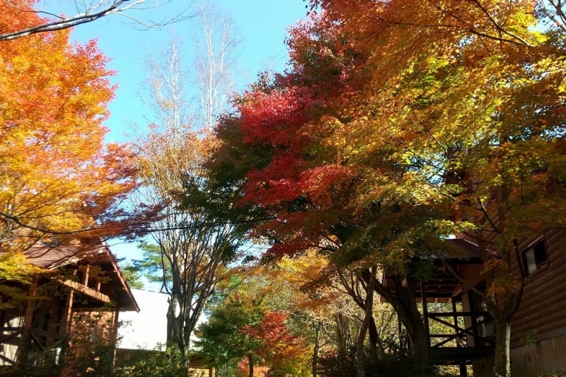 けび大池公園キャンプ場＆バンガロー村