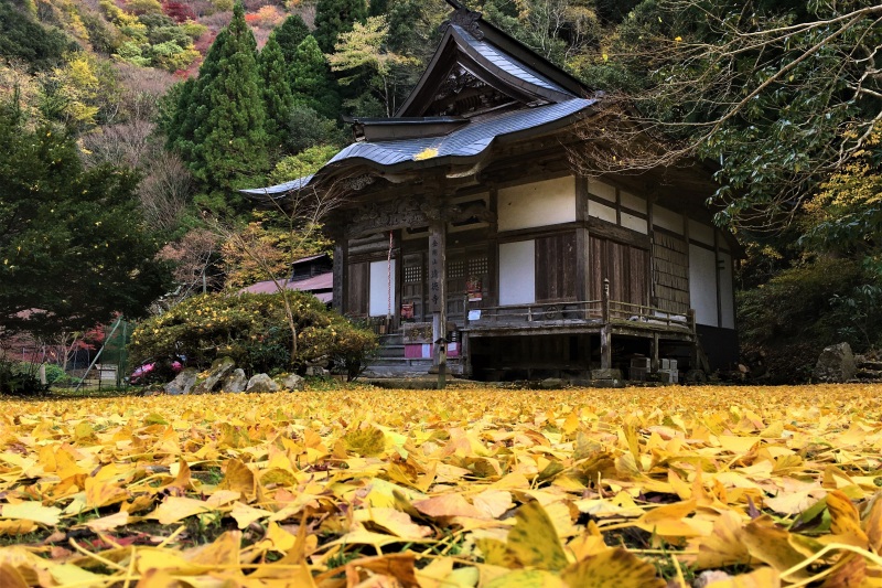 金剛山清徳寺