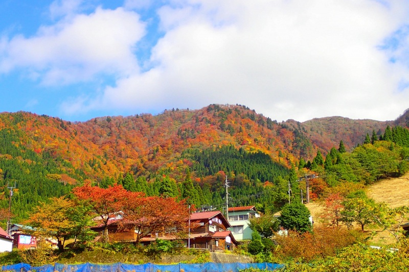 わかさ氷ノ山