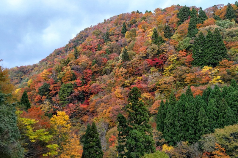 芦津渓谷