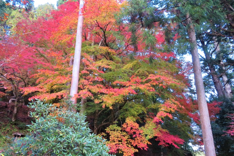 高野山真言宗 豊乗寺