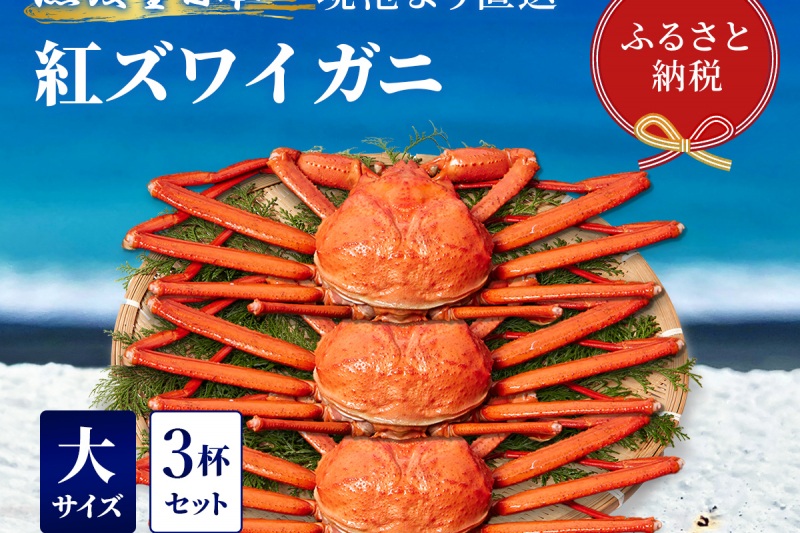 【蟹セレブ】紅ズワイガニ 大3杯セット（500～600g×3）