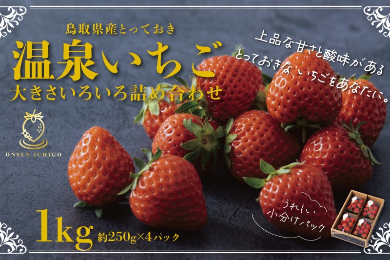 鳥取県産とっておき「温泉いちご」