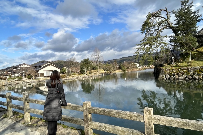 美しい景色に癒されます