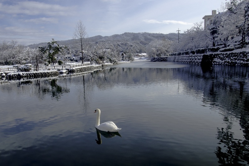 冬の城跡公園