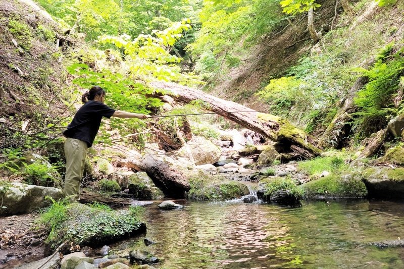 八東ふるさとの森