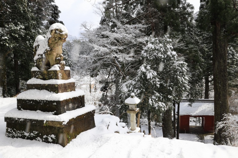 若桜神社赤門付近