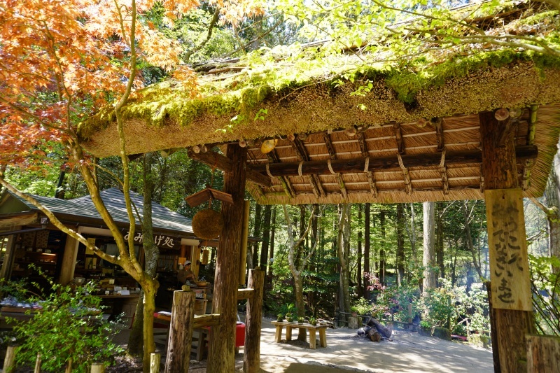 山菜料理みたき園