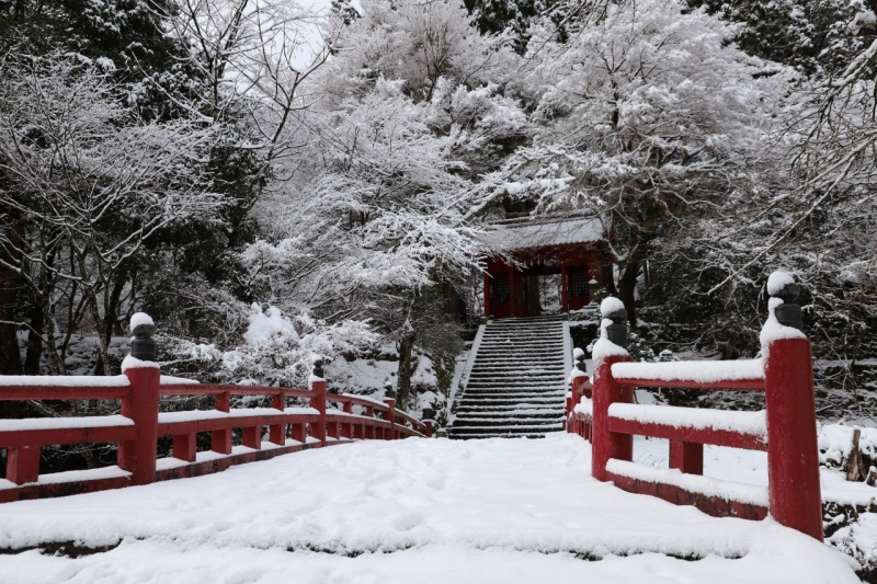 若桜神社赤門付近