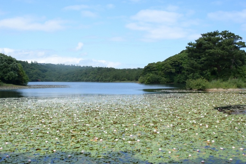 多鯰ケ池