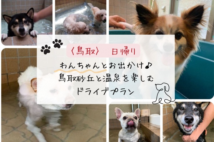 【ペットと楽しむ:日帰り】わんちゃんとお出かけ♪鳥取砂丘と温泉を楽しむドライブプラン