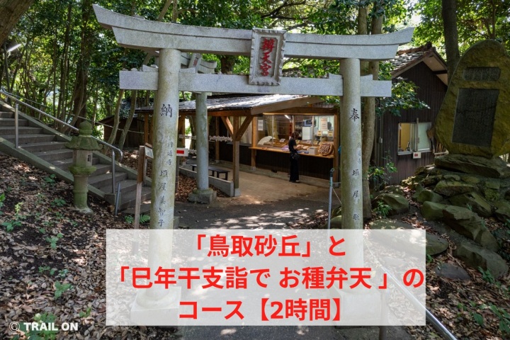 【2時間】「鳥取砂丘」と「巳年干支詣で お種弁天 」短時間コ…