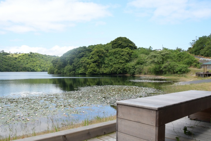 【2時間半】「鳥取砂丘」と「多鯰ヶ池スイレン木道散策」夏の…