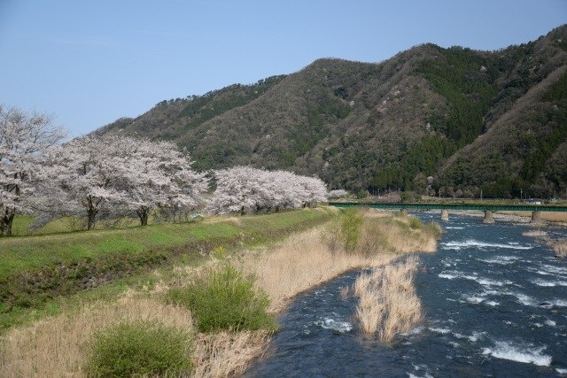 金崎橋付近