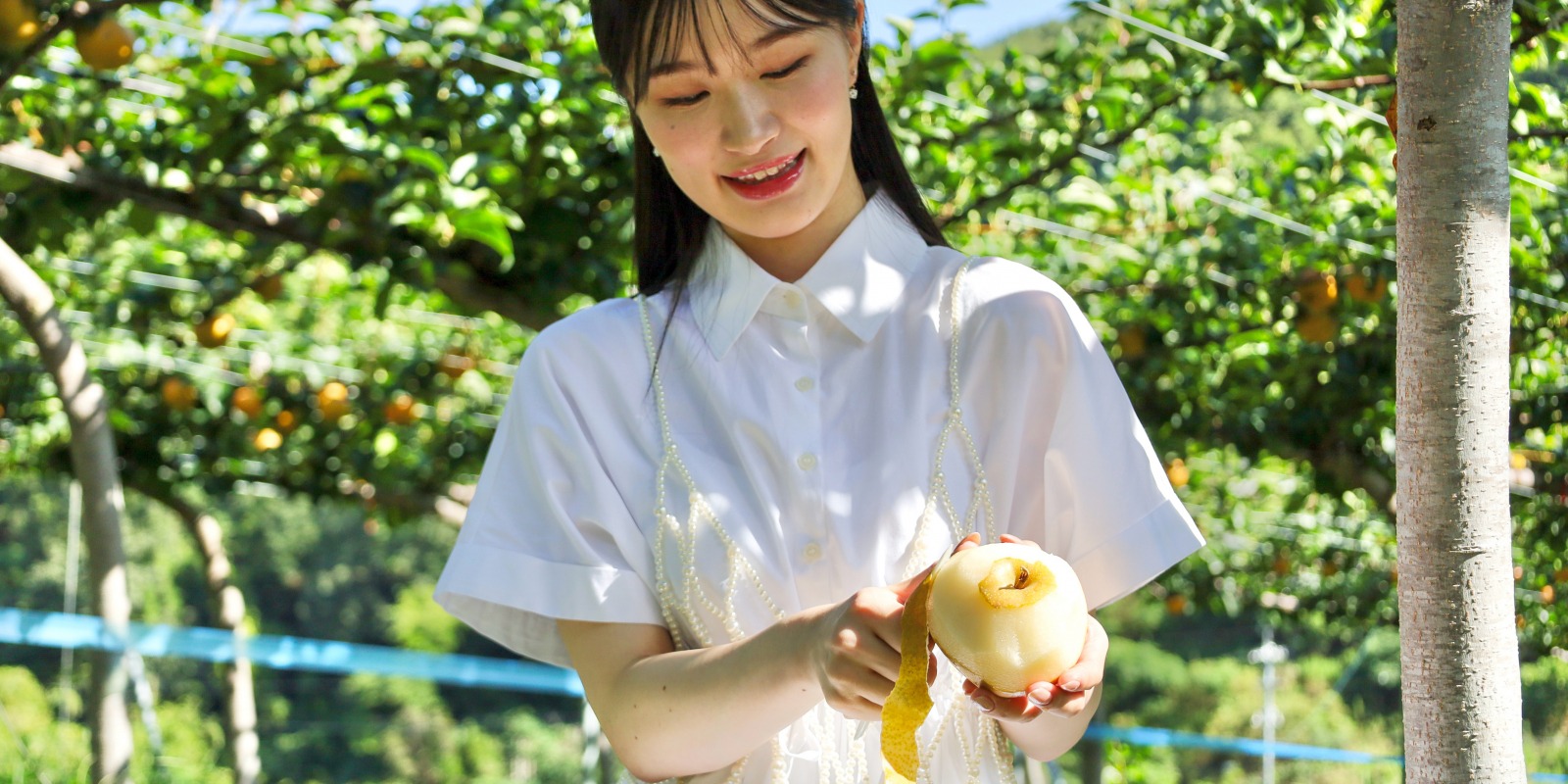 鳥取といえば「梨」