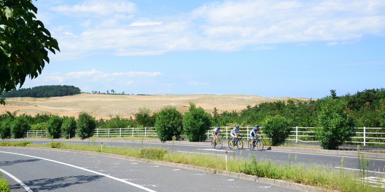 ナショナルサイクルルート候補に「鳥取うみなみロード」が選定!