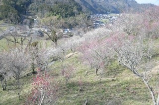 お城山展望台　河原城