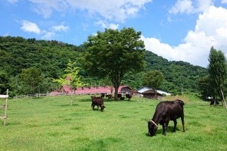 兵庫県立但馬牧場公園