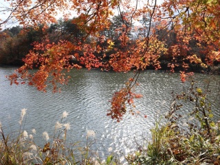 けび大池公園キャンプ場＆バンガロー村