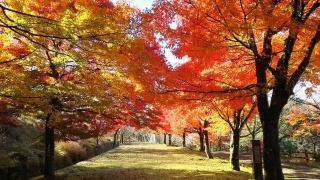 御殿山公園