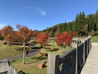 わかさ氷ノ山キャンパーズヴィレッジ（わかさ氷ノ山キャンプ場）