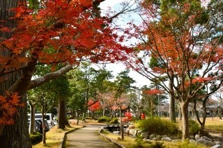 樗谿公園