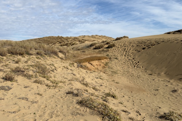 鳥取砂丘 火山灰露出地
