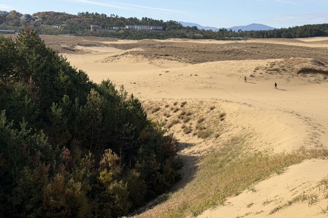 鳥取砂丘 追後スリバチ