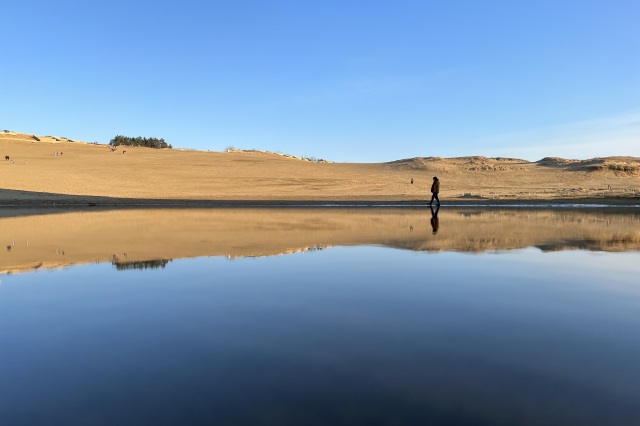 鳥取砂丘 オアシス(尻無川)